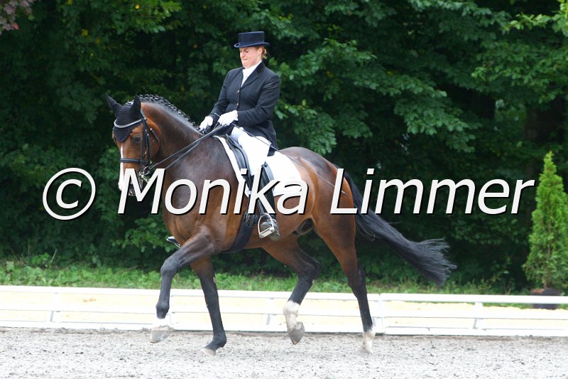 009M5256_Concento_Dressur Mxx.JPG